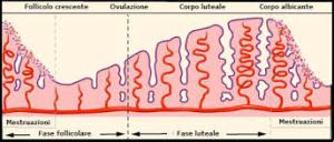 fasi della luna e mestruali 3